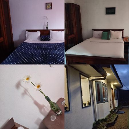 Mount View Cottage Nuwara Eliya Kültér fotó